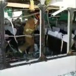 VIDEO- Fuerte explosión en un barco de Playa del Carmen deja 13 heridos2
