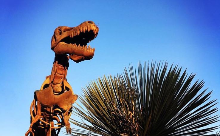 Anuncian ruta del vino y dinosaurios en zona paleontológica de Coahuila |  PSN Noticias