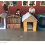 Niños hacen casitas para perros sin hogar con material reciclable – Google Chrome_2