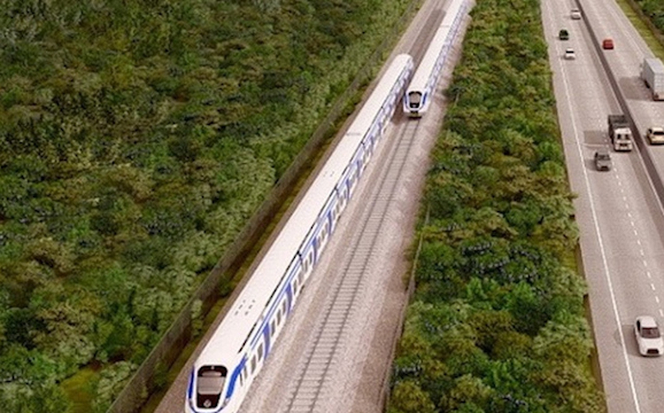 Tren Maya, árboles, deforestación, ecología, medio ambiente, proyecto, Gobierno Federal