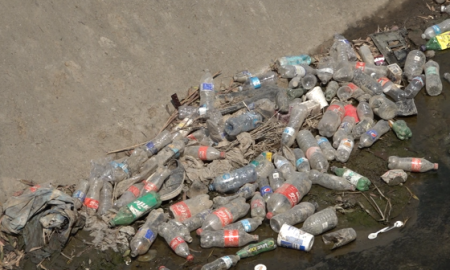 acumulación de basura, canalización del Río Tijuana, Arroyo Alamar,