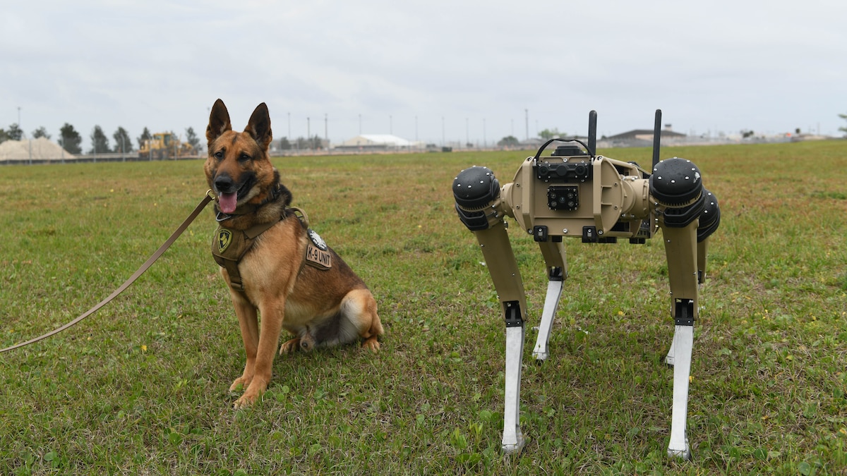 EE.UU. desarrolla perros robot para patrullar la frontera con México