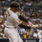 MANY MACHADO