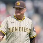 Mike Shildt