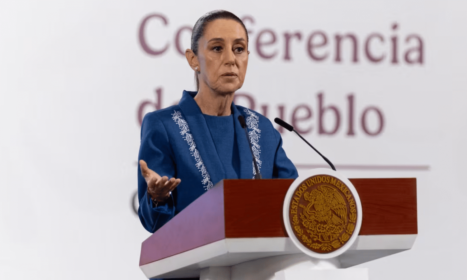 sheinbaum redadas economía