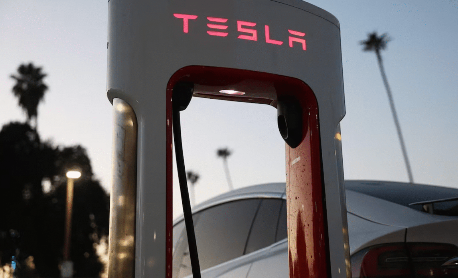 Tesla se desploma 14% tras amenazas de Trump a Musk