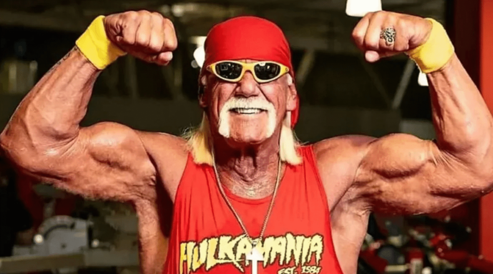 hulk hogan