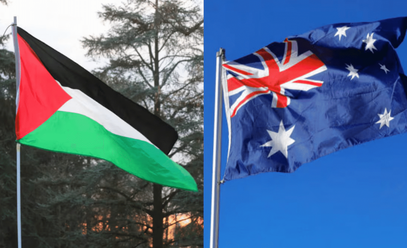 australia palestina