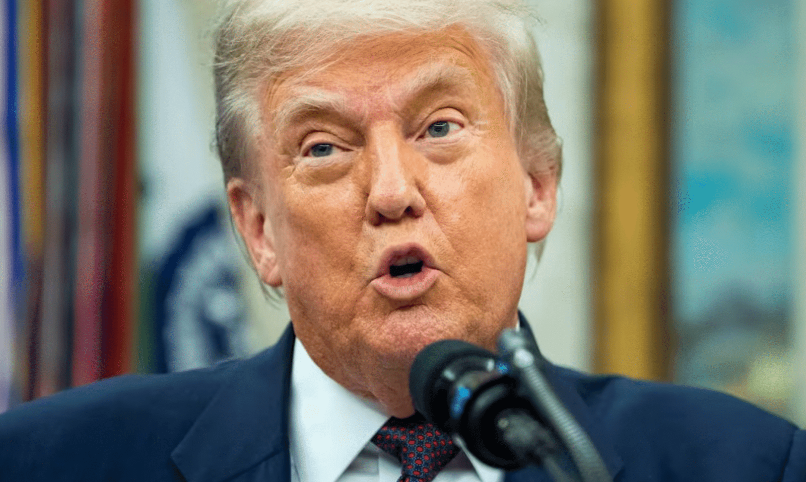trump pentágono cárteles