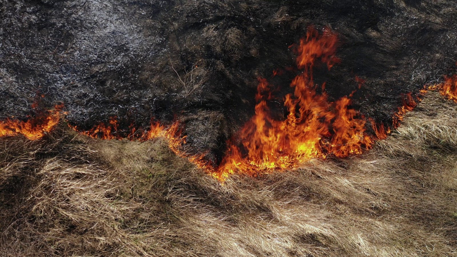 Ola de incendios en España llega a su fin