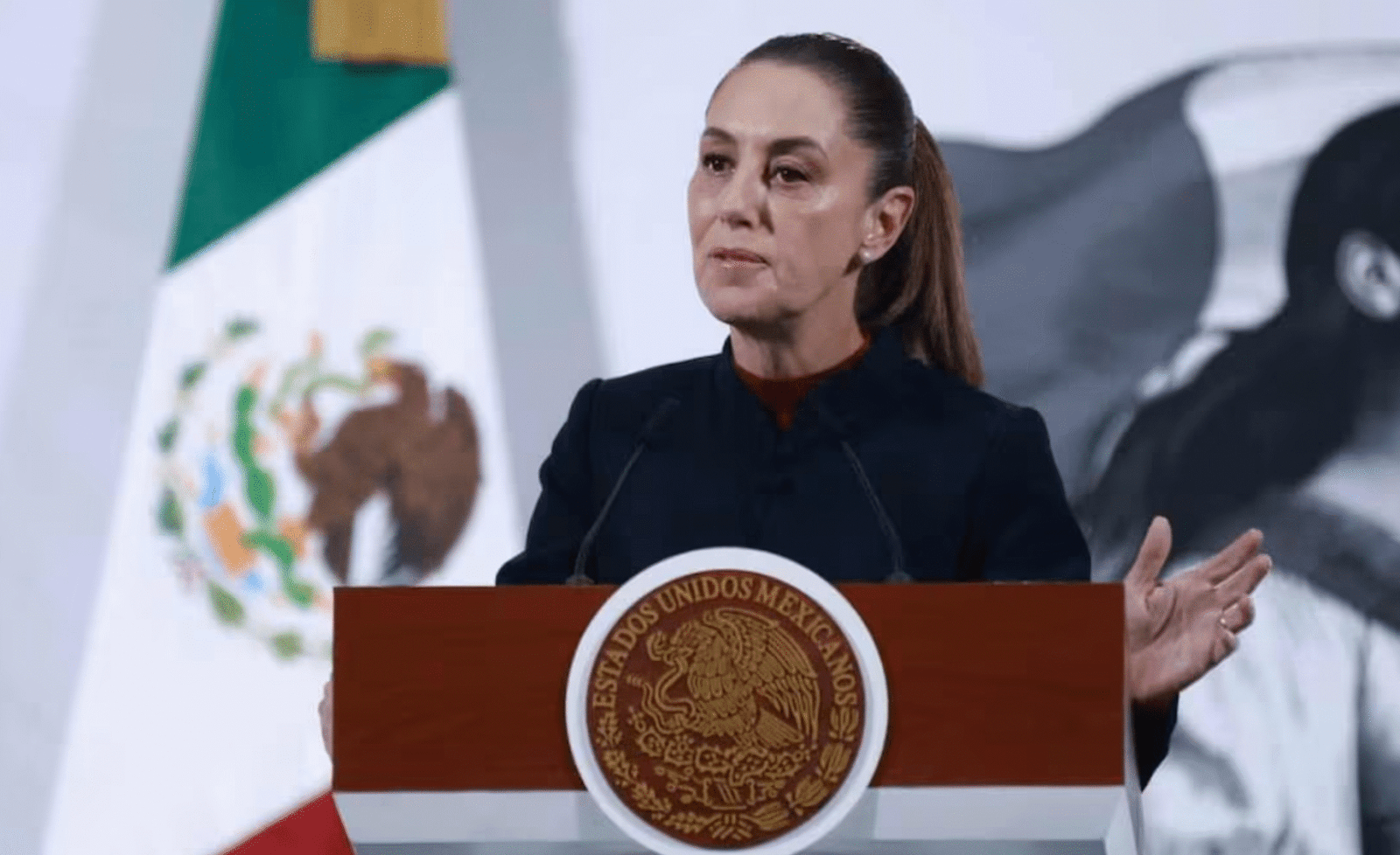 apoyo damnificados