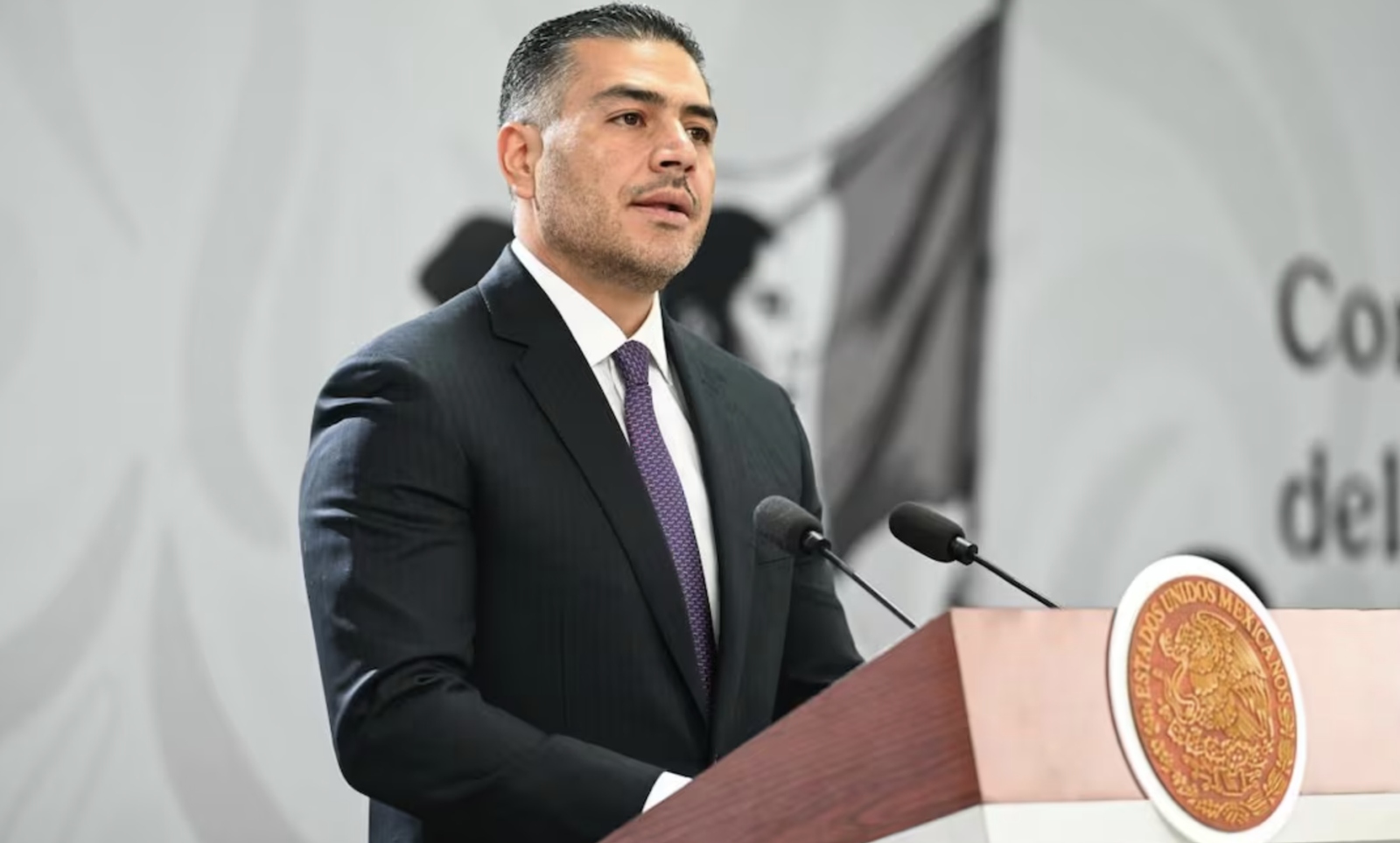 fraude cjng puerto vallarta