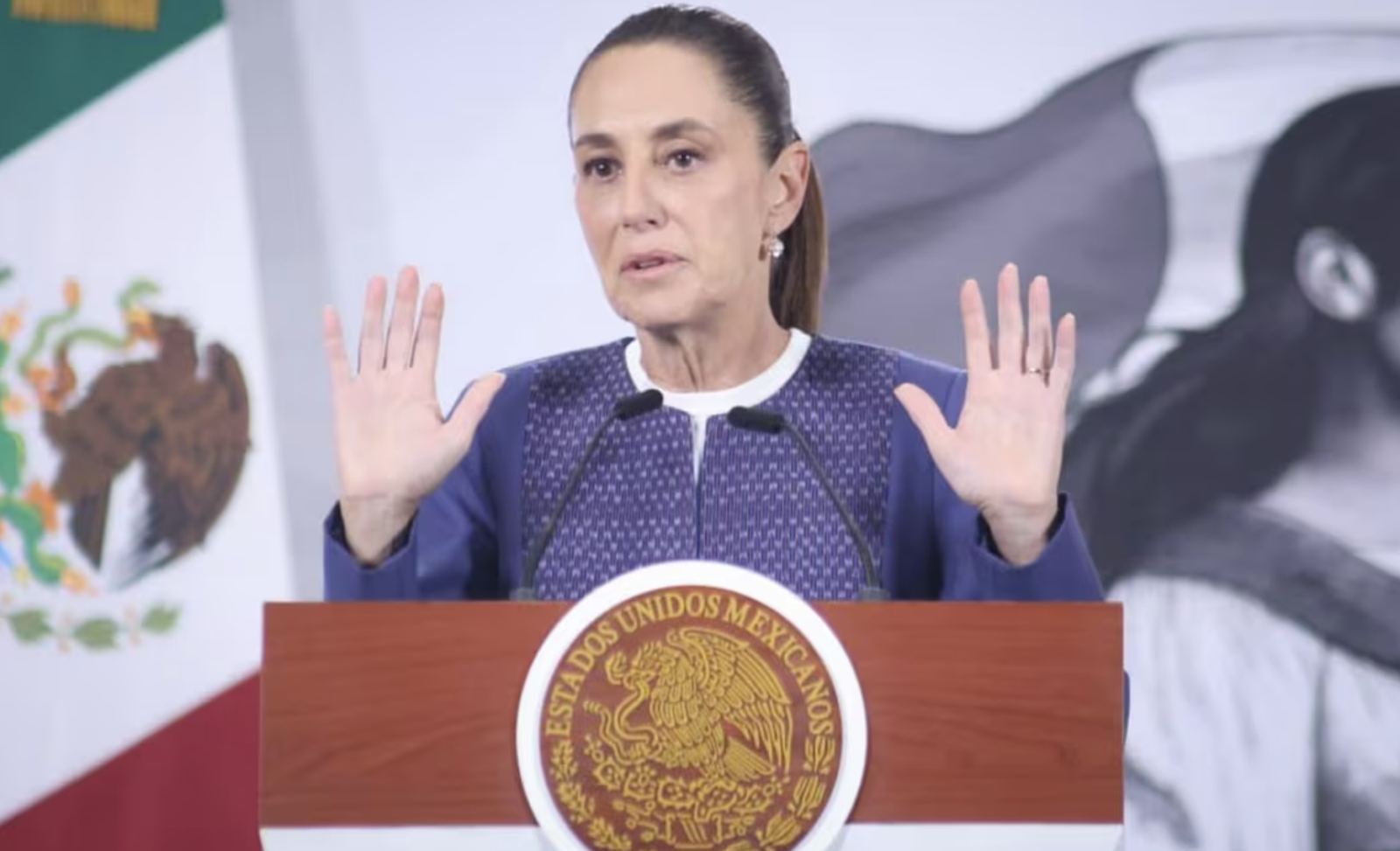 sheinbaum donatarias