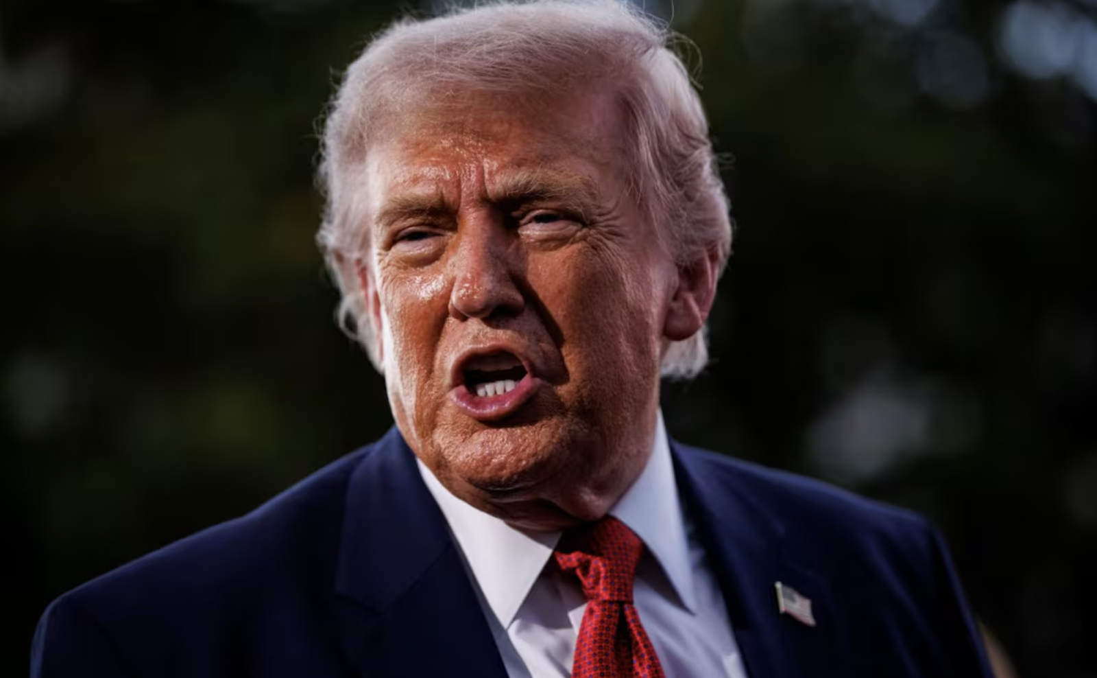 trump indocumentados
